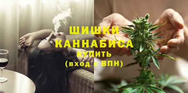 твердый Майский