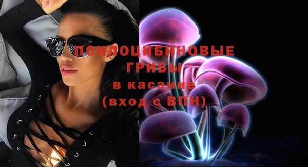 твердый Майский