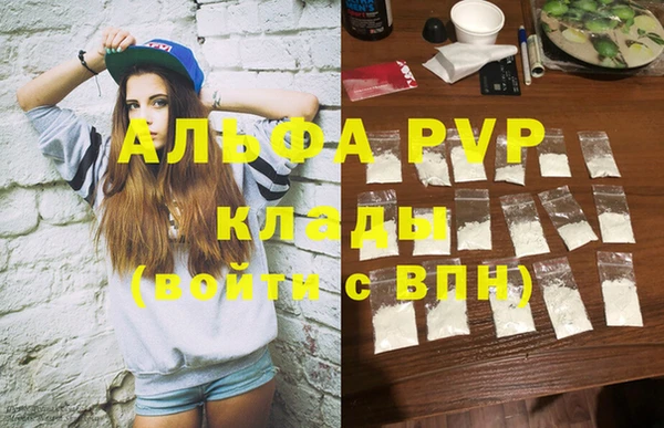 твердый Майский