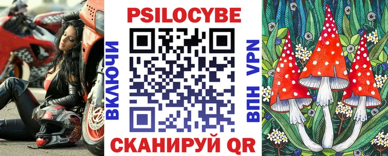 купить закладку  Александровское  Псилоцибиновые грибы мухоморы 
